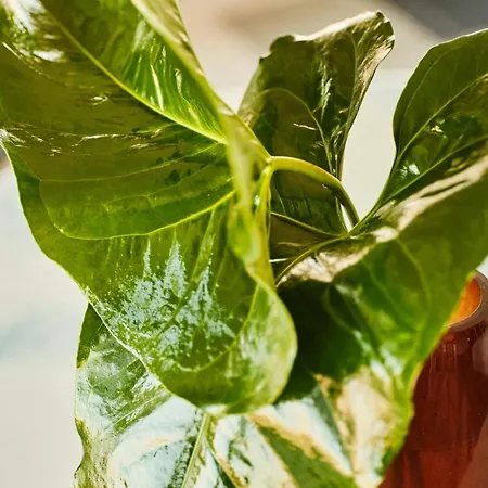 Arts Ξενοδοχείο Βαρκελώνη